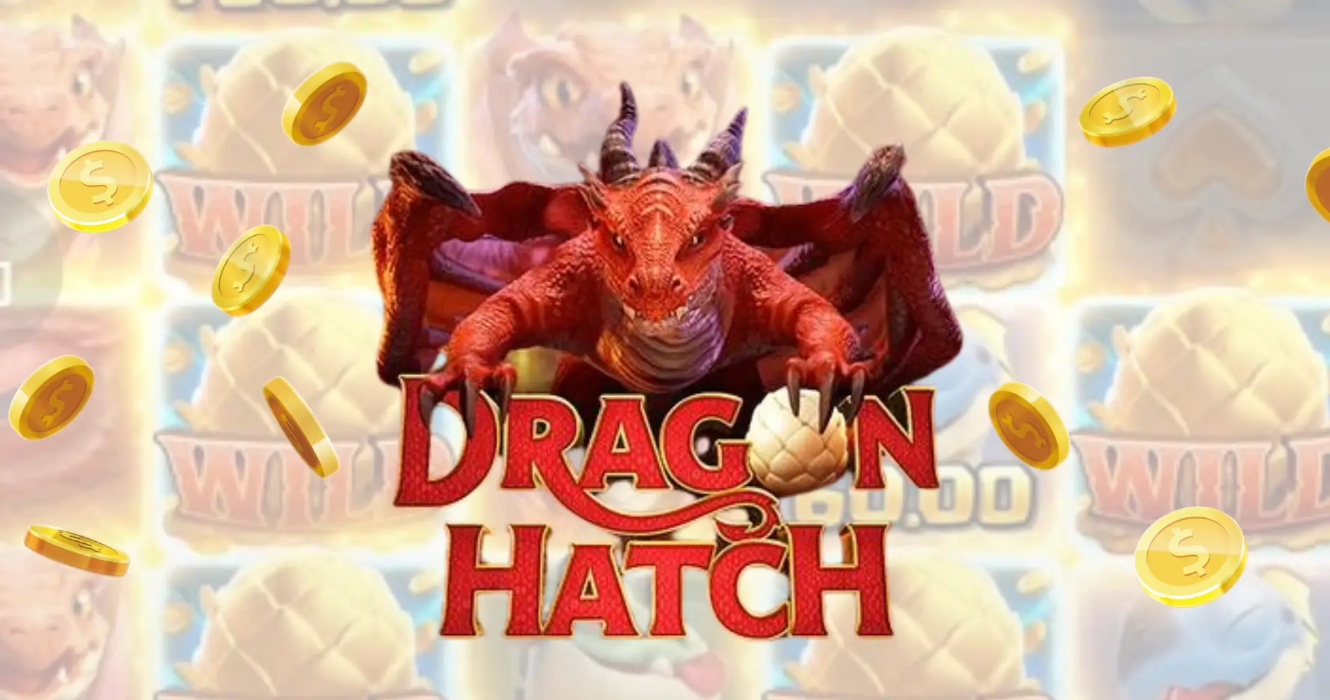 Dragon Hatch FI