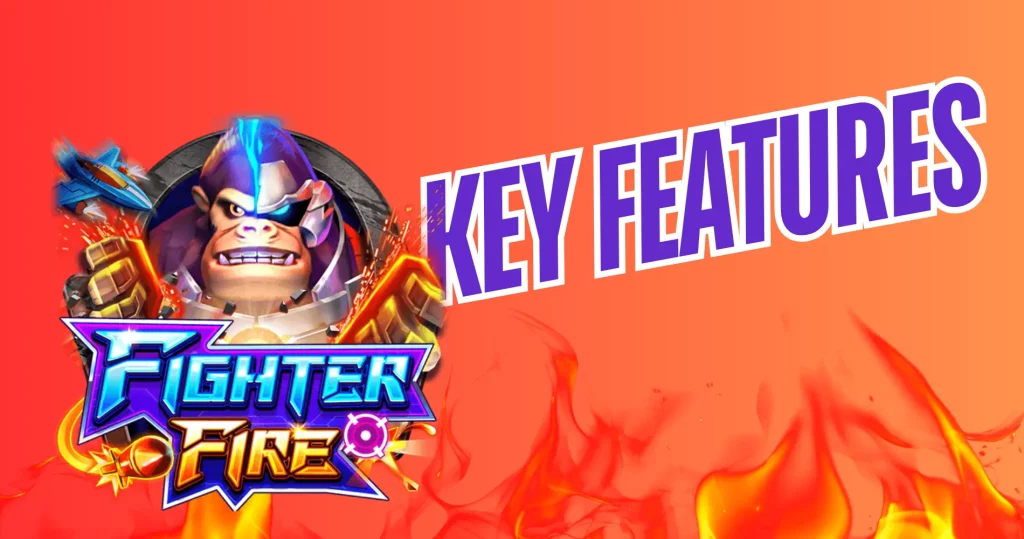 Key Features of Fighter Fire